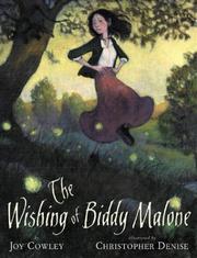 Cover of: The wishing of Biddy Malone