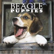 Cover of: Beagle Puppies 2005 Mini Wall Calendar | BrownTrout Publishers