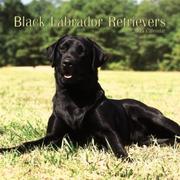 Cover of: Black Labrador Retrievers 2005 Mini Wall Calendar | BrownTrout Publishers