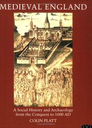 Medieval England : a social history and archaeology from the Conquest to 1600 AD