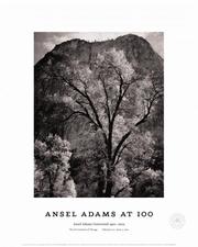 Cover of: Autumn Tree Against Cathedral Rocks, Yosemite 1944