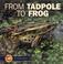 Cover of: From Tadpole to Frog (Start to Finish)