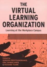 Cover of: The Virtual Learning Organization (Workplace Learning Series)