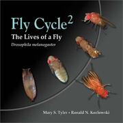 Cover of: Flycycle 2: Lives of a Fly