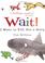 Cover of: Wait! I Want to Tell You a Story