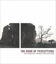 Cover of: The Book of Perceptions