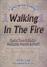 Cover of: Walking In The Fire