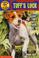Cover of: Tuff's Luck (Puppy Patrol)