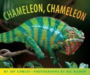 Chameleon, chameleon by Joy Cowley