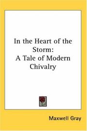 Cover of: In the Heart of the Storm: A Tale of Modern Chivalry
