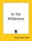 Cover of: In The Wilderness