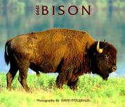 Cover of: Bison