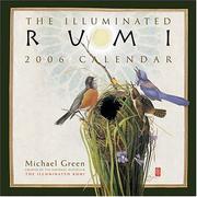 Cover of: The Illuminated Rumi 2006 Calendar | Michael Green