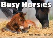 Cover of: Busy Horsies