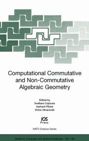 Computational commutative and non-commutative algebraic geometry