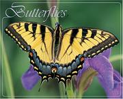 Cover of: Butterflies 2006 16-Month Wall Calendar | Willow Creek Press