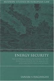 Energy Security by Sanam S. Haghighi