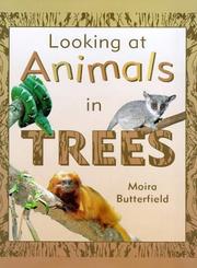 Looking at animals in trees