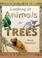 Cover of: In Trees (Looking at Animals)