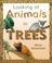 Cover of: In Trees (Looking at Animals)