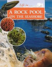 Rock Pool on the Seashore (Life In....) by Sally Morgan