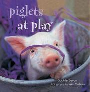 Piglets at play