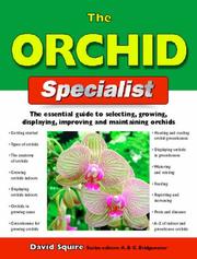 The orchid specialist : the essential guide to selecting, growing, displaying, improving and maintaining orchids