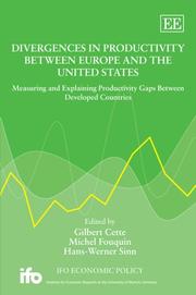 Cover of: Divergences in Productivity Between Europe and the United States: Measuring and Explaining Productivity Gaps Between Developed Countries (Ifo Economic Policy Series)