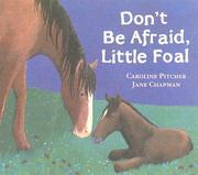 Don't be afraid, little foal