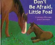 Don't be afraid, little foal