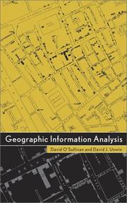 Geographic information analysis