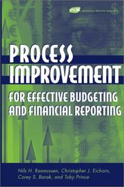 Process improvement for effective budgeting and financial reporting