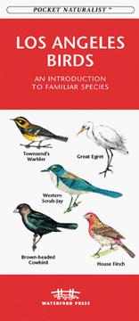 Los Angeles Birds PDF