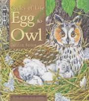 Egg to owl