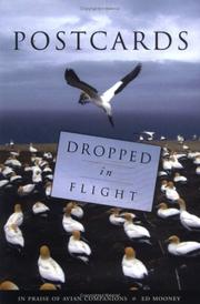 Postcards dropped in flight : in praise of avian companions