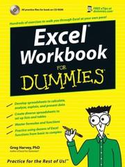 Excel workbook for dummies