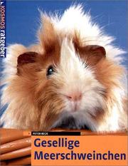 Cover of: Gesellige Meerschweinchen.