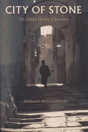 Cover of: City of stone by Meron Benvenisti