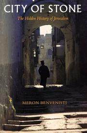 Cover of: City of Stone by Meron Benvenisti
