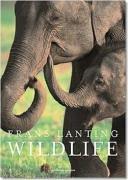 Cover of: Frans Lanting Wildlife (Taschen Big Calendars) |