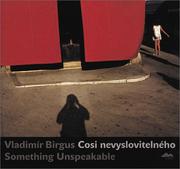 Cover of: Vladimír Birgus: Something Unspeakable