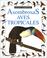 Cover of: Asombrosas Aves Tropicales