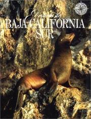 Cover of: El estado de Baja California Sur (No Viaje Sin Su Guia)