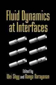 Fluid dynamics at interfaces