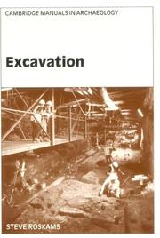 Cover of: Excavation by Steve Roskams