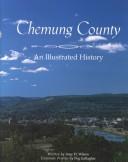 Chemung County by Amy H. Wilson