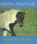 Cover of: Gletta the foal