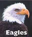 Cover of: Eagles