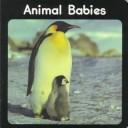 Cover of: Animal babies