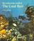 Cover of: The underwater world of the coral reef